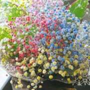 ヒメ日記 2025/08/10 14:10 投稿 ななか アイスキャンディーラブ