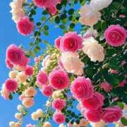 ヒメ日記 2026/02/26 10:23 投稿 ななか アイスキャンディーラブ