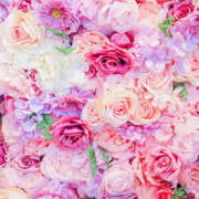 ヒメ日記 2025/08/16 10:45 投稿 まなみ アイスキャンディーラブ