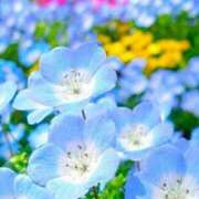 ヒメ日記 2025/09/06 21:10 投稿 まなみ アイスキャンディーラブ