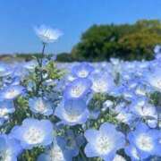 ヒメ日記 2025/10/13 15:33 投稿 まなみ アイスキャンディーラブ