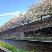 ヒメ日記 2025/04/14 13:17 投稿 はづき 新宿泡洗体デラックスエステ