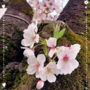 ヒメ日記 2025/04/19 13:30 投稿 はづき 新宿泡洗体デラックスエステ