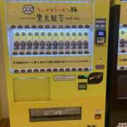 ヒメ日記 2025/03/09 14:49 投稿 かおり 大垣羽島安八ちゃんこ