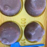 ヒメ日記 2025/03/21 17:21 投稿 かおり 大垣羽島安八ちゃんこ