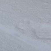 ヒメ日記 2025/04/23 19:15 投稿 かおり 大垣羽島安八ちゃんこ