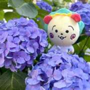 ヒメ日記 2025/06/22 18:05 投稿 かおり 大垣羽島安八ちゃんこ