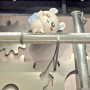 ヒメ日記 2025/08/16 15:41 投稿 かおり 大垣羽島安八ちゃんこ