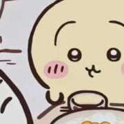 ヒメ日記 2025/08/18 16:16 投稿 かおり 大垣羽島安八ちゃんこ