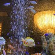 ヒメ日記 2025/10/21 17:04 投稿 かおり 大垣羽島安八ちゃんこ