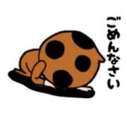 藤山多美 Tさんへ 五十路マダム東広島店(カサブランカグループ)