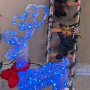 ヒメ日記 2025/12/24 10:40 投稿 静香奥様 母ちゃんの秘密