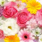 ヒメ日記 2026/01/03 10:25 投稿 静香奥様 母ちゃんの秘密