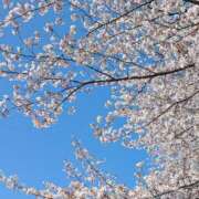 静香奥様 こんにちは 母ちゃんの秘密