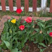 静香奥様 こんにちは 母ちゃんの秘密