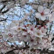 静香奥様 こんにちは 母ちゃんの秘密