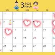 ヒメ日記 2025/02/20 19:00 投稿 かりな ハッピーブリッジ