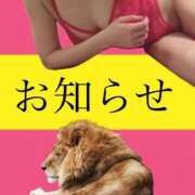 ヒメ日記 2025/02/19 20:57 投稿 さとみ ハッピーブリッジ