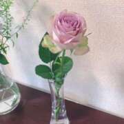 ヒメ日記 2025/04/08 21:17 投稿 さとみ ハッピーブリッジ