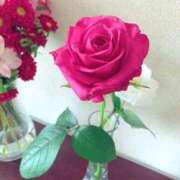 ヒメ日記 2025/06/15 16:10 投稿 さとみ ハッピーブリッジ