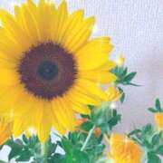 ヒメ日記 2025/06/23 11:13 投稿 さとみ ハッピーブリッジ