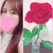 ヒメ日記 2025/07/14 13:57 投稿 さとみ ハッピーブリッジ