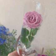 ヒメ日記 2025/11/03 22:27 投稿 さとみ ハッピーブリッジ