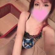 ヒメ日記 2025/12/23 11:47 投稿 さとみ ハッピーブリッジ