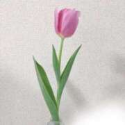 ヒメ日記 2026/01/13 15:17 投稿 さとみ ハッピーブリッジ