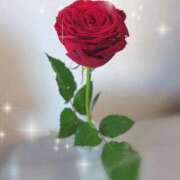 ヒメ日記 2026/04/03 18:27 投稿 さとみ ハッピーブリッジ