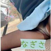 ヒメ日記 2026/03/29 13:11 投稿 ひなの 立川洗体風俗エステ ココリラ