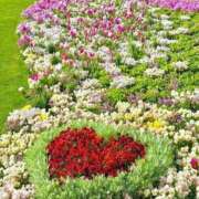 ヒメ日記 2025/04/29 11:00 投稿 えみこ 熟女の風俗最終章 町田店