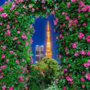 ヒメ日記 2025/05/27 21:31 投稿 えみこ 熟女の風俗最終章 町田店