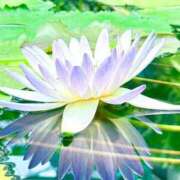 ヒメ日記 2025/07/14 17:20 投稿 えみこ 熟女の風俗最終章 町田店