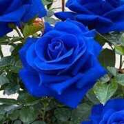 ヒメ日記 2025/07/14 19:01 投稿 えみこ 熟女の風俗最終章 町田店