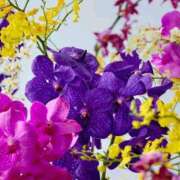 ヒメ日記 2025/07/22 14:20 投稿 えみこ 熟女の風俗最終章 町田店