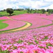 ヒメ日記 2025/07/22 15:50 投稿 えみこ 熟女の風俗最終章 町田店