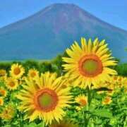 ヒメ日記 2025/07/24 08:20 投稿 えみこ 熟女の風俗最終章 町田店