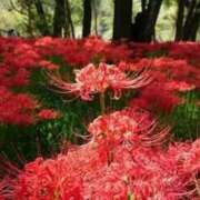 ヒメ日記 2025/08/22 13:30 投稿 えみこ 熟女の風俗最終章 町田店