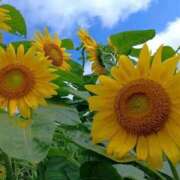 ヒメ日記 2025/08/23 16:57 投稿 えみこ 熟女の風俗最終章 町田店