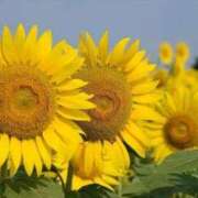 ヒメ日記 2025/08/30 10:47 投稿 えみこ 熟女の風俗最終章 町田店