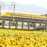 ヒメ日記 2025/09/07 08:00 投稿 えみこ 熟女の風俗最終章 町田店