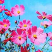 ヒメ日記 2025/09/16 09:26 投稿 えみこ 熟女の風俗最終章 町田店