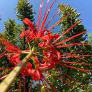 ヒメ日記 2025/10/23 21:50 投稿 えみこ 熟女の風俗最終章 町田店