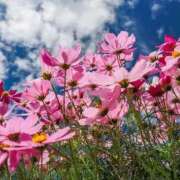 ヒメ日記 2025/10/27 13:51 投稿 えみこ 熟女の風俗最終章 町田店