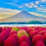 ヒメ日記 2025/10/29 12:50 投稿 えみこ 熟女の風俗最終章 町田店