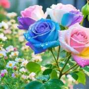 ヒメ日記 2025/10/31 07:20 投稿 えみこ 熟女の風俗最終章 町田店