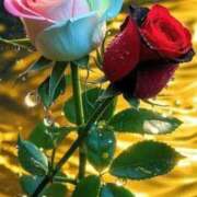 ヒメ日記 2025/11/18 19:01 投稿 えみこ 熟女の風俗最終章 町田店