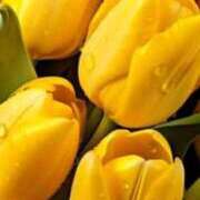 ヒメ日記 2025/11/19 09:30 投稿 えみこ 熟女の風俗最終章 町田店