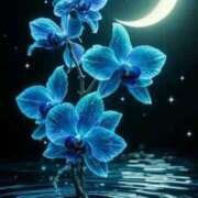 ヒメ日記 2025/11/20 20:07 投稿 えみこ 熟女の風俗最終章 町田店